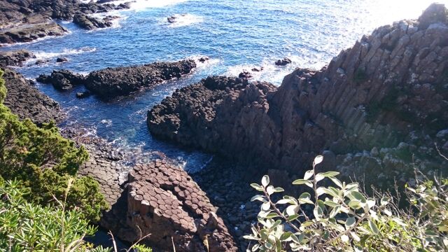 伊豆下田温泉 ホテル山田屋 公式hp たばねたあれみたいな 伊豆下田温泉 ホテル山田屋 公式hp たばねたあれみたいな